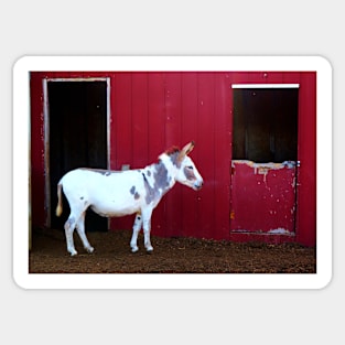 Spotted Donkey Red Barn Sticker